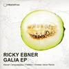 Open Your Raise (Original Mix) - Ricky Ebner