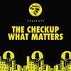 What Matters (Vanilla Ace & dharkfunkh Remix) - The Checkup