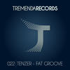 Fat Groove (Original Mix) - Tenzer