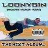 Fucked Up Everyday (Explicit) - Loonybin