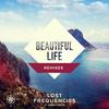 Beautiful Life (Erick Morillo Extended Remix) - Lost Frequencies&Sandro Cavazza