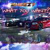 What You Want? (Explicit) - SPR Sheezy&Trip J