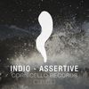 Assertive (Original Mix) - Indio