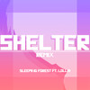 Shelter (Remix) - Sleeping Forest&Lollia