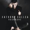 Man in the Mirror - Anthony Callea