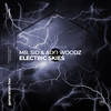 Electric Skies - Mr. Sid&Ado Woodz