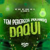 Tem Perereca Pulando Daqui (Explicit) - MC PL&DJ Ruan ZS&MC WR&MC John JB