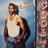 The Rhythm (Extended Mix) - Cool T&Quim Quer&Todd Smith