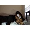 Fuh Dat Bih (Explicit) - Payroll