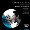 No Past (Diction Remix) - Steve Shaden