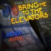 Bring Me To The Elevators - Peter Antal