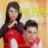 Rang Rantau Taragak Pulang - Ardi