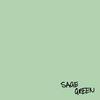 sage green (Explicit) - Flowwt