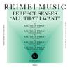 All That I Want (Original Mix) - Perfect Senses