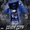 Livin Life (Explicit) - Sonnie