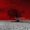 Fields of Glass - The Secret Society