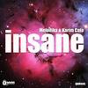Insane - Melodika&Karim Cato