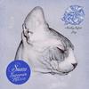 Jorg (Suara Summer Hit 2013) - Monkey Safari