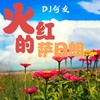 火红的萨日朗 (remix: 李悟小礼物) (Remix) - DJ何友