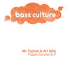 Pajala Sunrise (Original Mix) - Art Alfie&Mr. Tophat