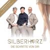 Ohne Dich - Silberherz