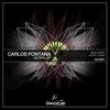 Coarse (Original Mix) - Carlos Fontana