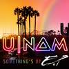 Something's Up (Summer Radio Edit) - U-Nam