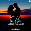 Tu Hai Mere Samne - Nitin Patkar