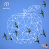 Fly - Samer Tinoco