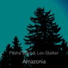 Amazonia - Pasha West&Lex-Stalker