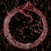 snakepit. (feat. meda fulgida) (Explicit) - Kasatka GX&Meda Fulgida