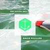 Young And Warm And Wonderful - Roger Williams