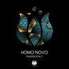 Plagiocephaly - Homo Novo