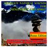 Sounds of Nature: Balinese Beach with Campfire and Crickets(Bonus Edition) - Amadeus