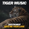 Give Me Your Love (Original Mix) - Destroboy