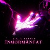 Înmormântat (Explicit) - A.k.a S3rg1u