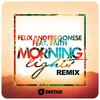 Morning Lights(Renaissance Remix) (Remix) - FAITH&Felix and Fregonese