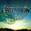 Alleluia, I heard a voice - Peter Stewart&Voices of Ascension Chorus&Voices of Ascension Orchestra&Dennis Keene
