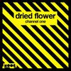 Channel One - Dried Flower