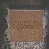 Picture Perfect (Explicit) - Mr.A.Love&Kid Ocean