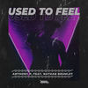 Used To Feel (Original Mix) - Anthony P.&Nathan Brumley