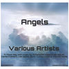 Angels (Su Terra Mix) - Audiofetish&Pippa Day