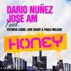 Honey (Radio Edit) - Dario Nunez&Jose AM