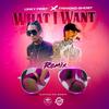 What I Want (feat. Linky First & Trinidad Ghost) (Remix) - Synthdicate Music&Linky First&Trinidad Ghost