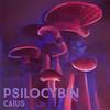 Psilocybin - Caius