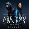 Are You Lonely (YUAN Remix) - Steve Aoki&Alan Walker&ISÁK