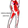 Cervical Orgasm (Explicit) - God of Sex