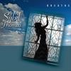 Reach 4 the Stars - Sybil Thomas