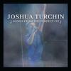 Person Who's Not Even There - Joshua Turchin