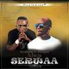 Adwoa Serwaa - Dzidzorm&Patapaa
